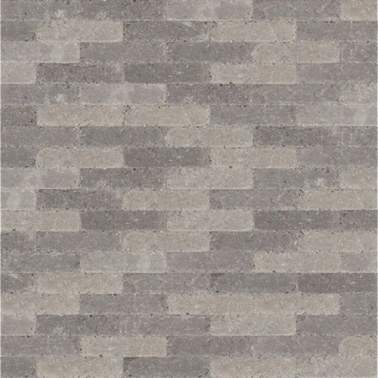 Abbeystones dikformaat getrommeld 21x7x8cm Pomposa