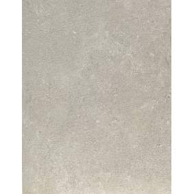 Coquille Champagne tegel 120x60x2 cm
