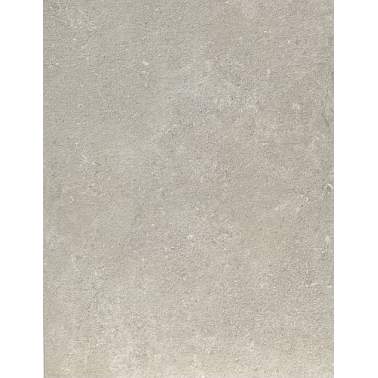 Coquille Champagne tegel 120x60x2 cm
