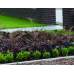 Betonband 12x25x100cm grijs