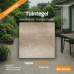 Tuintegel 60x60x4 cm Terrazza beige