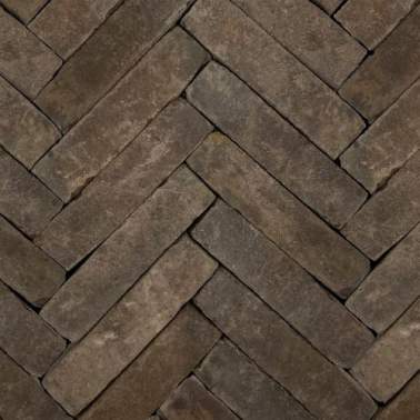 Gebakken dikformaat Hollandse Streken 20x6,5x6cm Fries