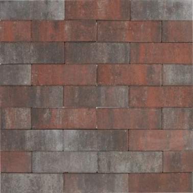 Tremico Dikformaat 20x6,7x6 cm Twents Bont