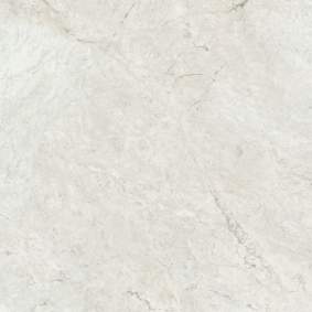 Omnia Emperador White 60x120x2cm