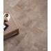 Percorsi Pietra di Lavis 60x60x2cm